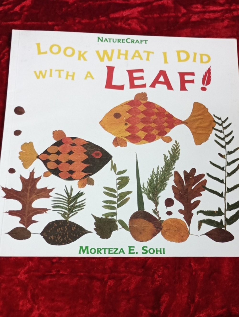 Look What I Did With a Leaf! - White/Cream Cover
